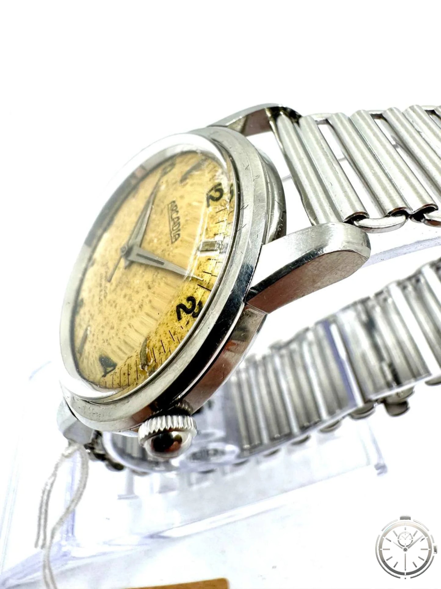 Arcadia Vintage Swiss Made — Vista laterale destra con corona e profilo cassa 8mm