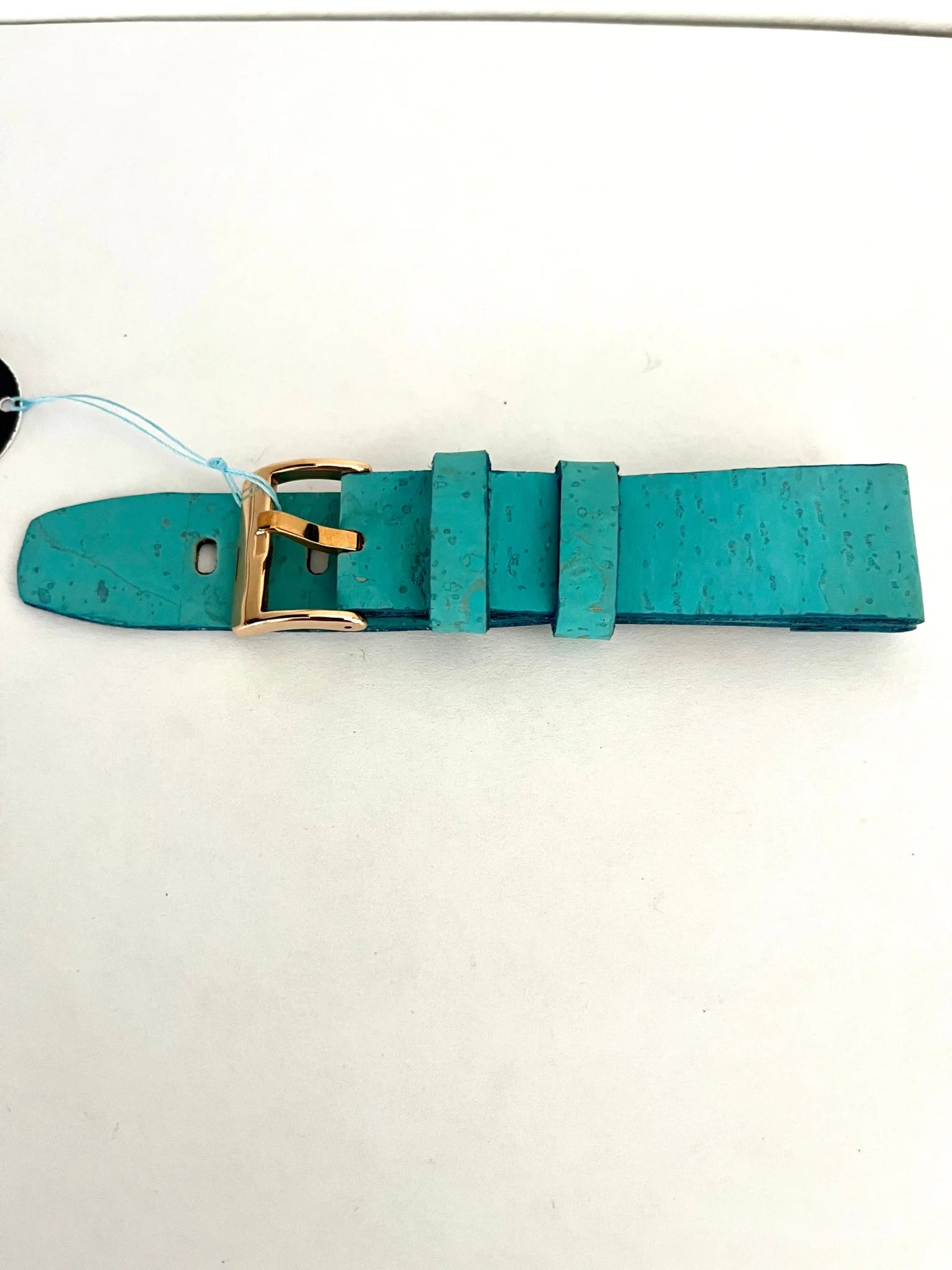 vista compatta Cinturino ESSENTIAL in Sughero Turchese con Interno in Cactus – 22mm